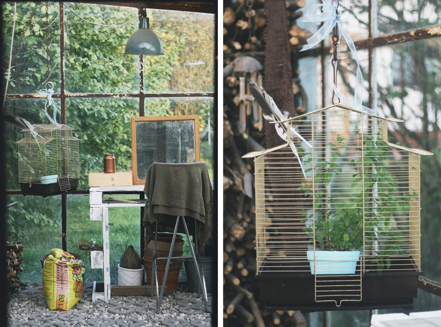 1 horz Metamorfoza ogrodu zimowego cd