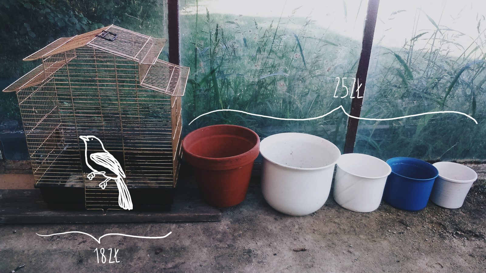 Metamorfoza ogrodu zimowego cd Bc053xcf Metamorfoza ogrodu zimowego cd