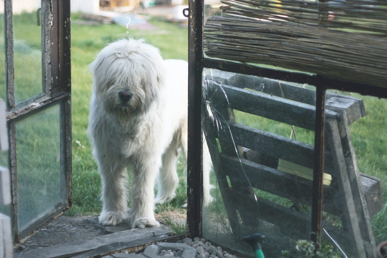 ap010xcf 1 Metamorfoza ogrodu zimowego cd