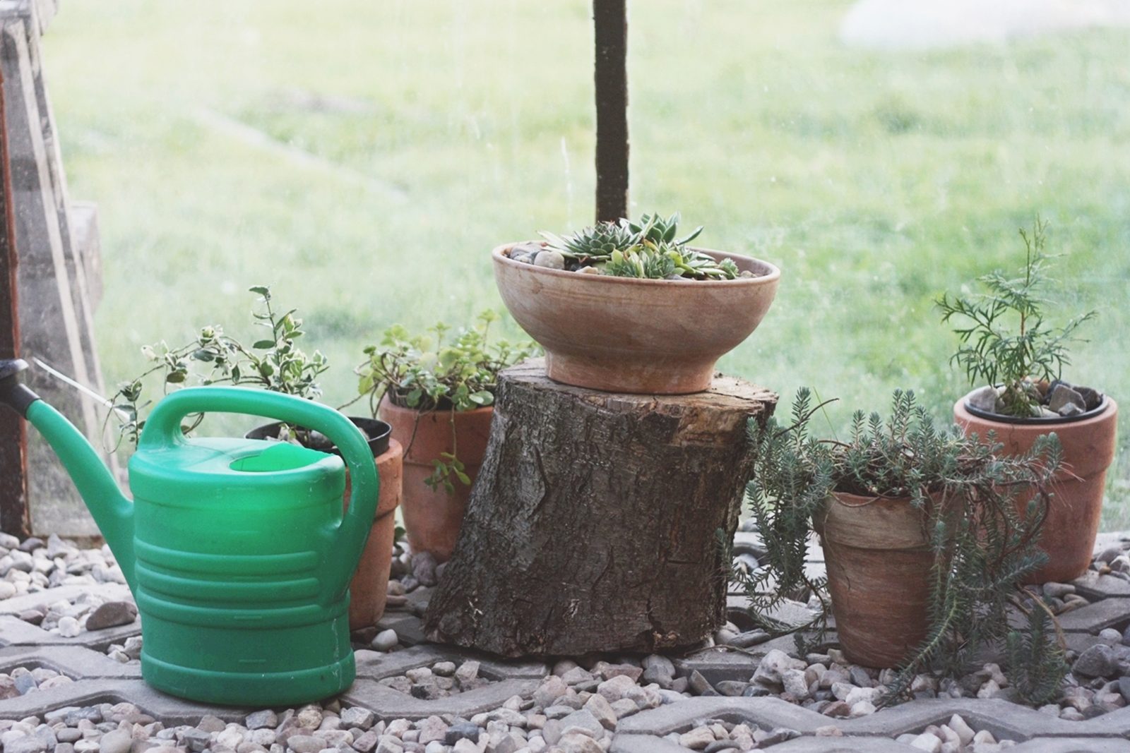 ap015xcfa Metamorfoza ogrodu zimowego cd