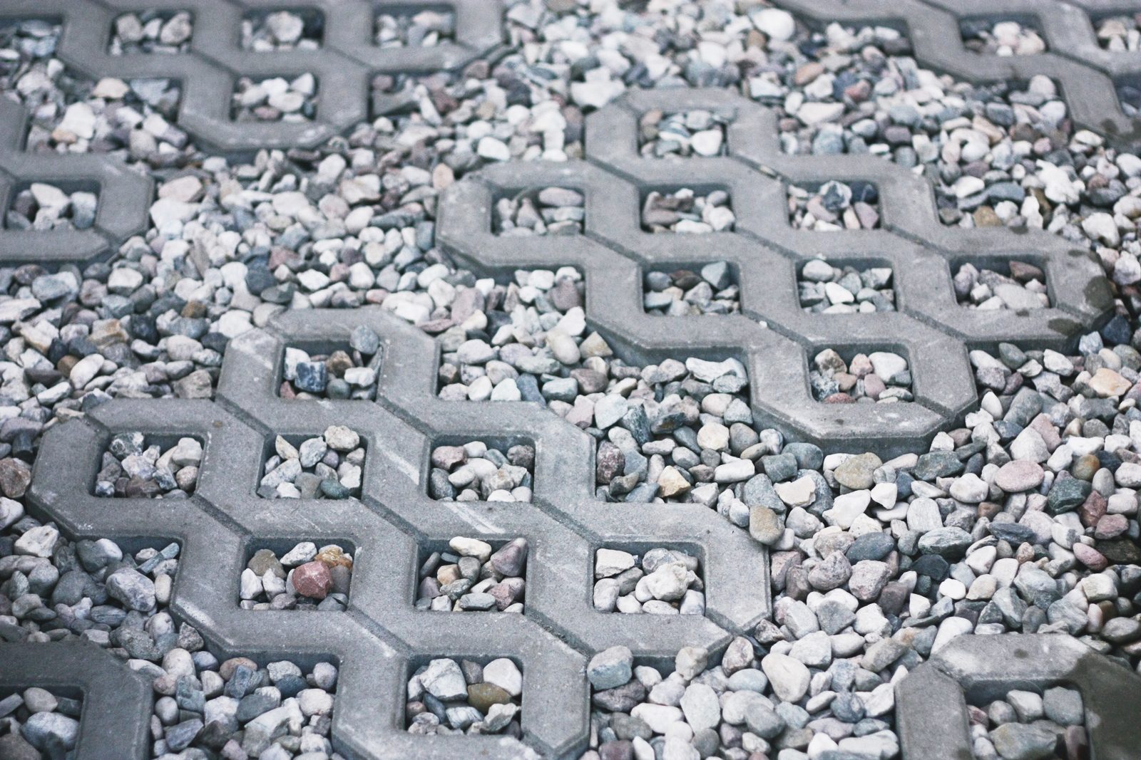 ap017xcf Metamorfoza ogrodu zimowego cd