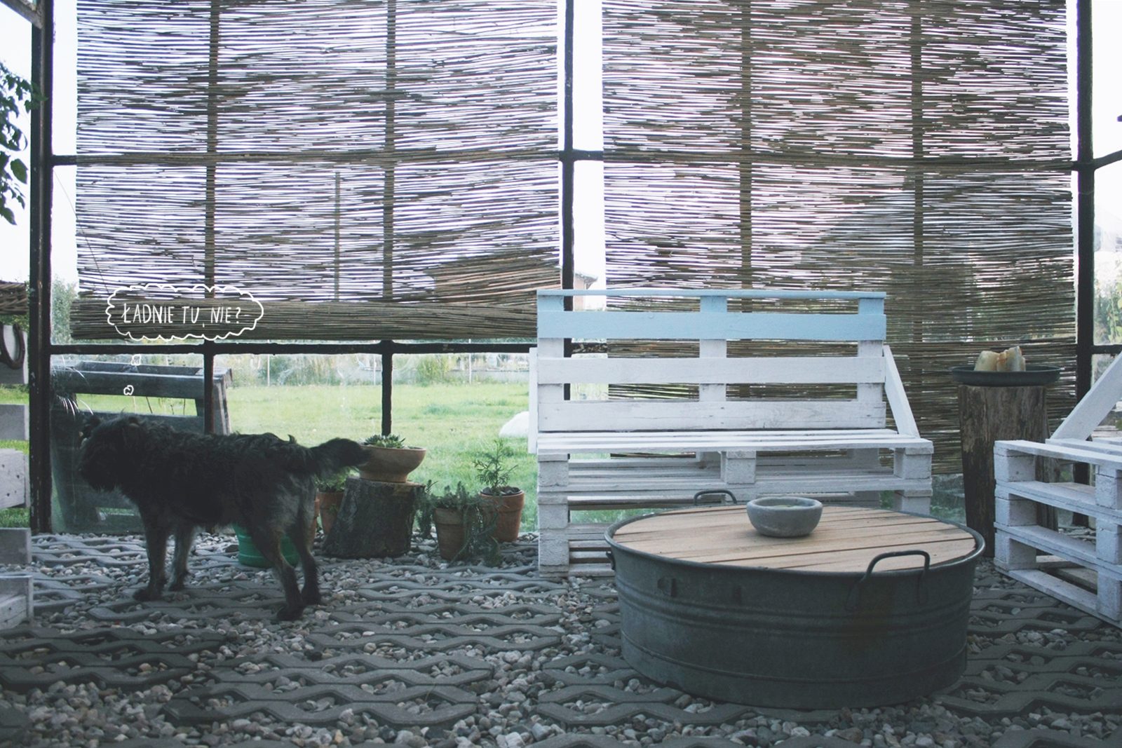 ap024xcf Metamorfoza ogrodu zimowego cd