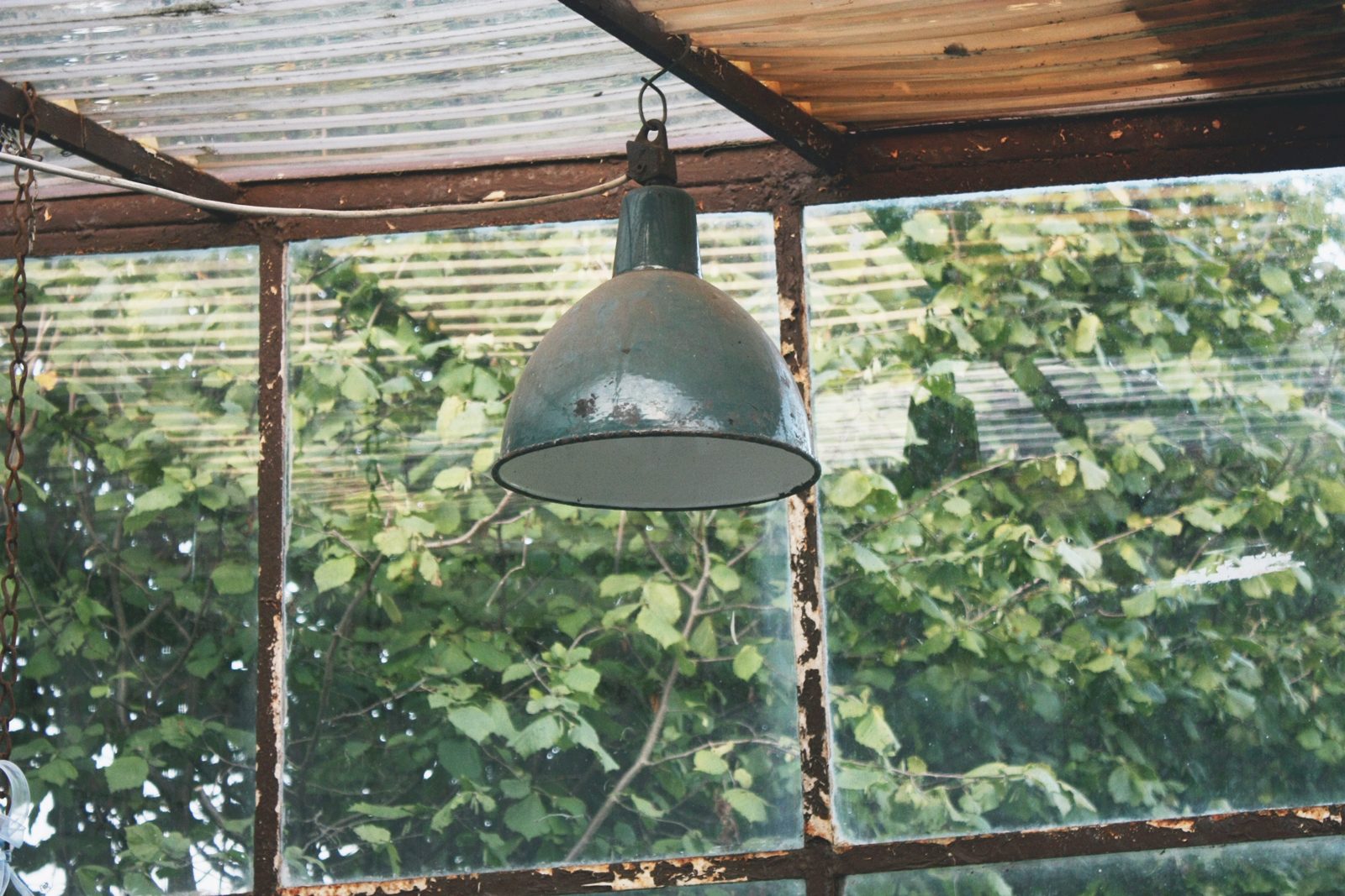 ap028xcf Metamorfoza ogrodu zimowego cd